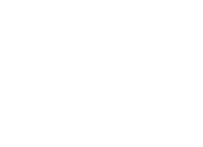 logo port saint denis d oleron blanc