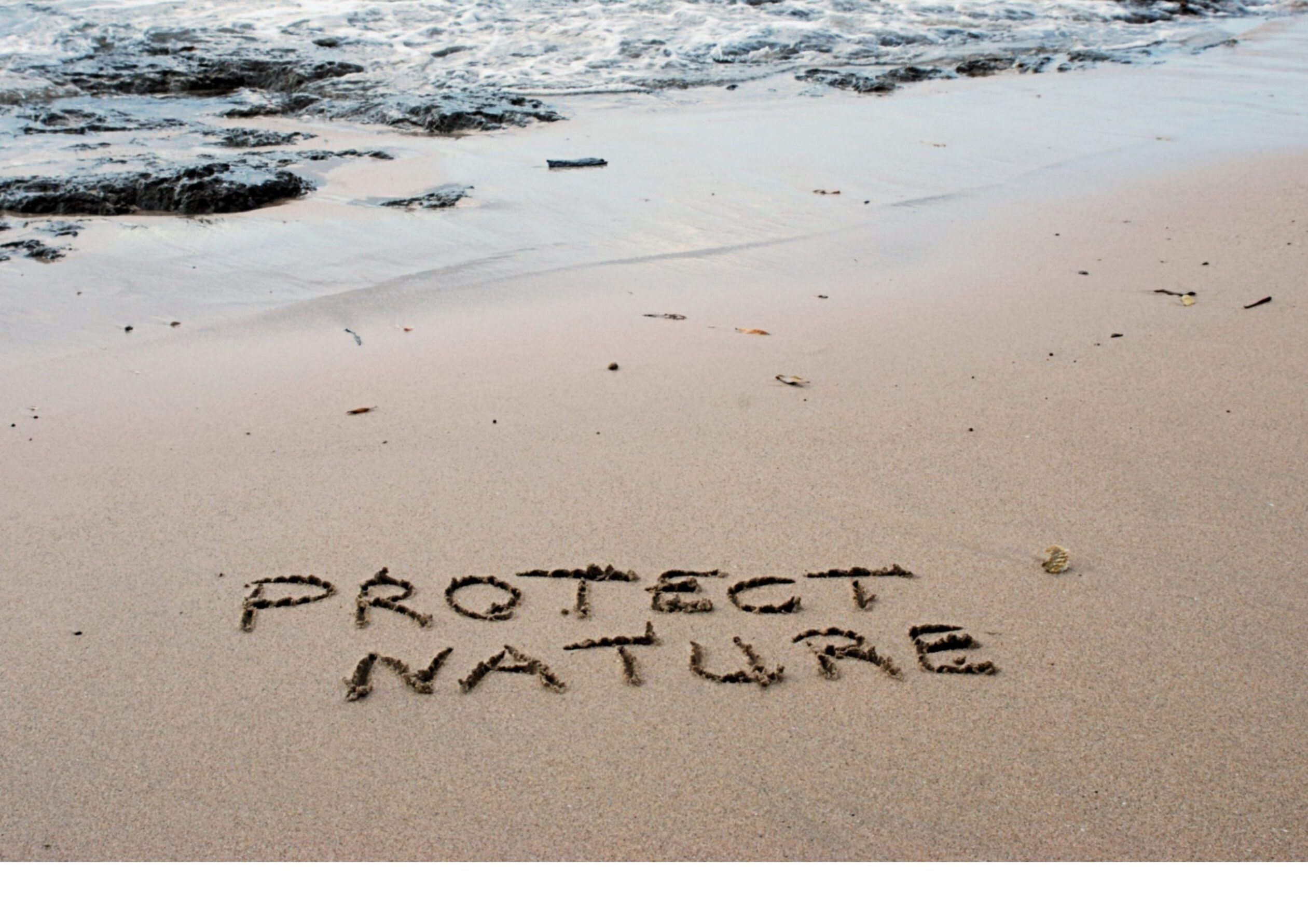 protect